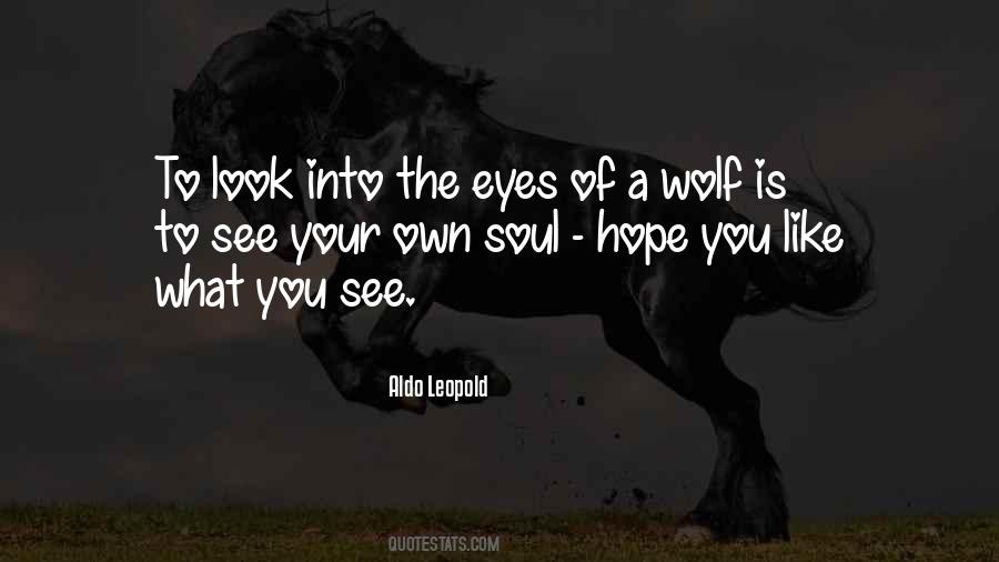 Like A Wolf Quotes #805036