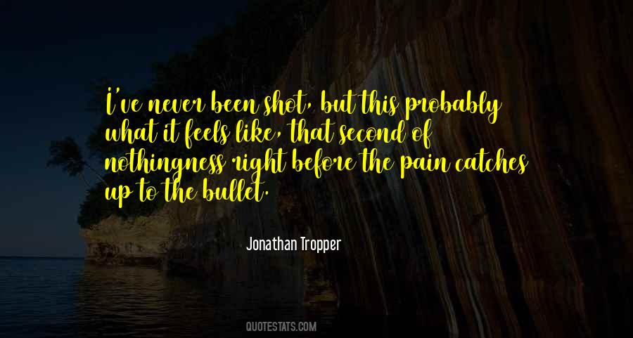 Like Never Before Quotes #176841