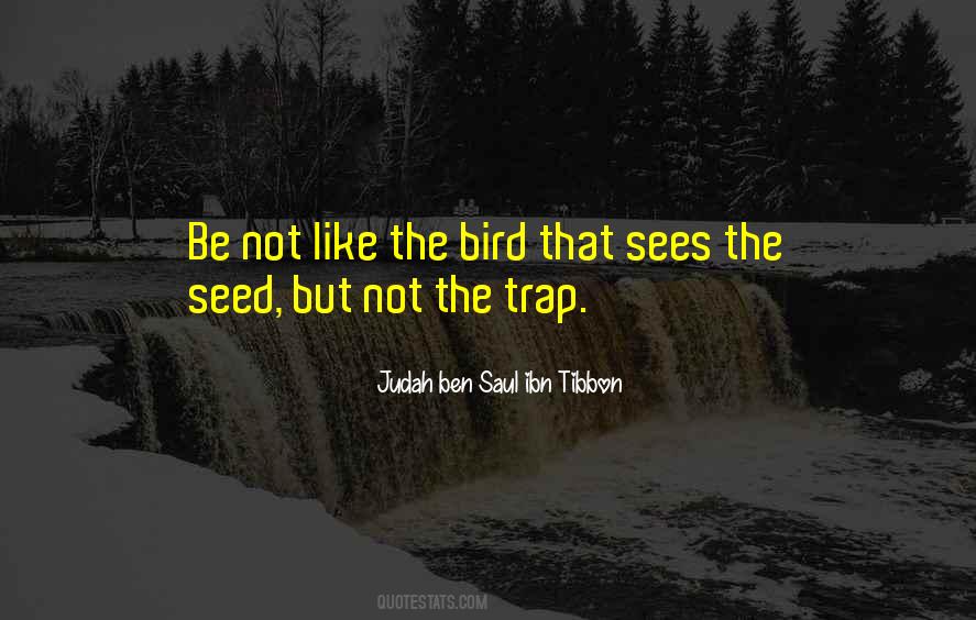 Like The Bird Quotes #914947