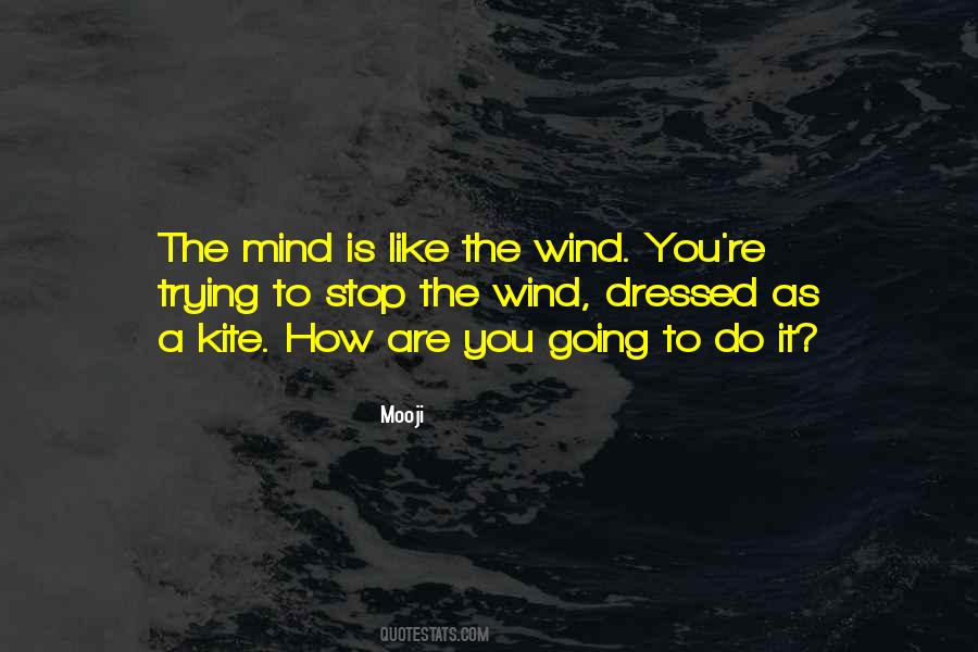 Like The Wind Quotes #1149019