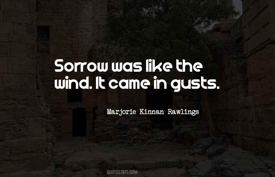 Like The Wind Quotes #1154456