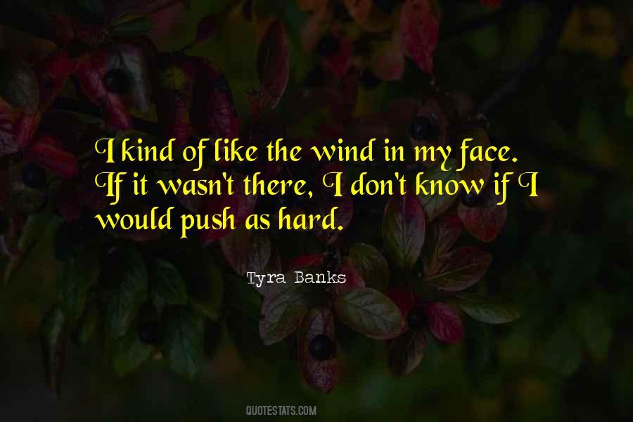 Like The Wind Quotes #117151