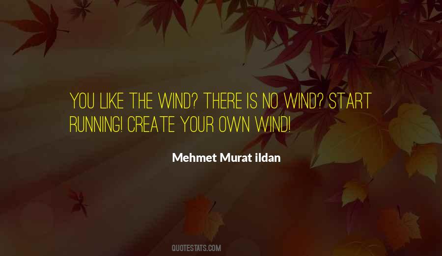 Like The Wind Quotes #328667