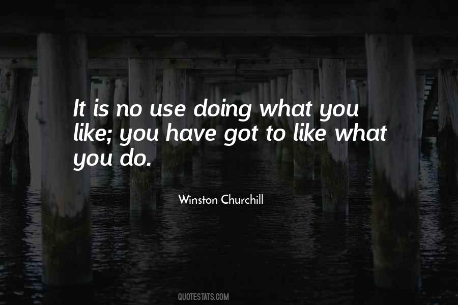 Like What You Do Quotes #208157