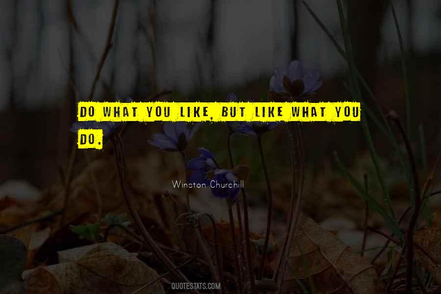 Like What You Do Quotes #712892