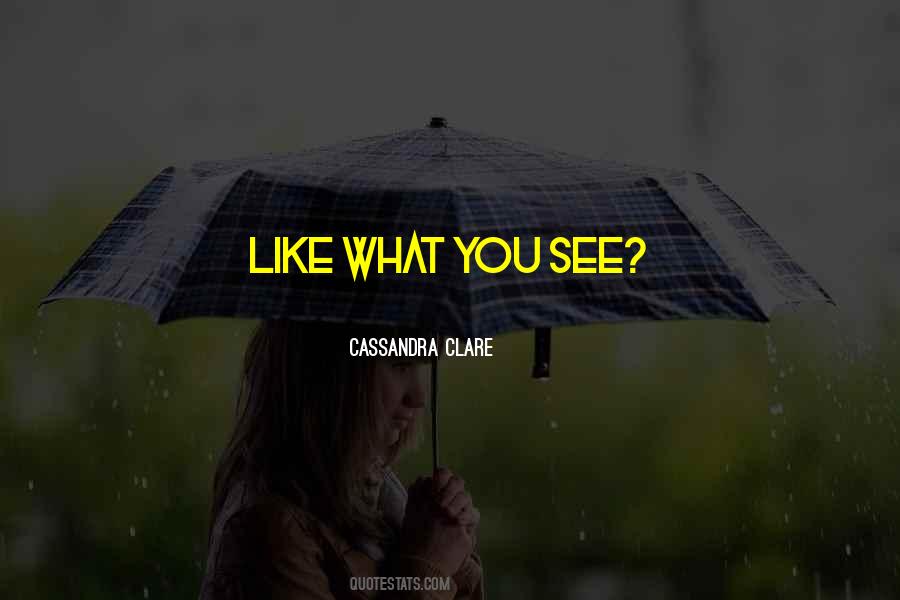 Like What You See Quotes #676690