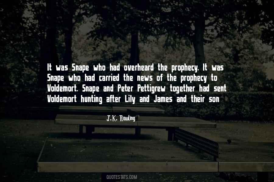 Lily And James Quotes #513715