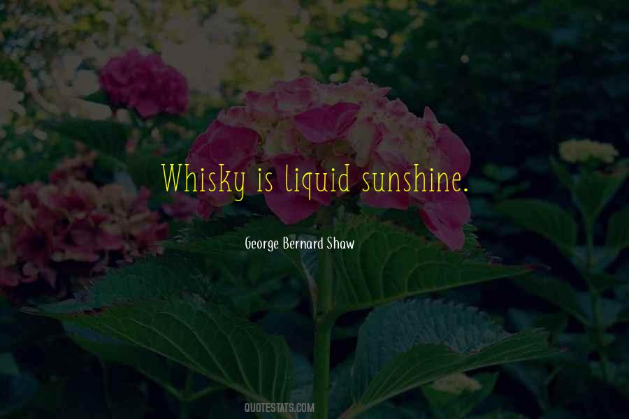 Liquid Sunshine Quotes #1347299