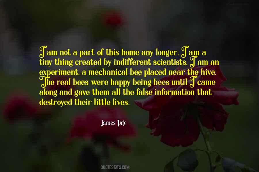 Little Bee Quotes #418901