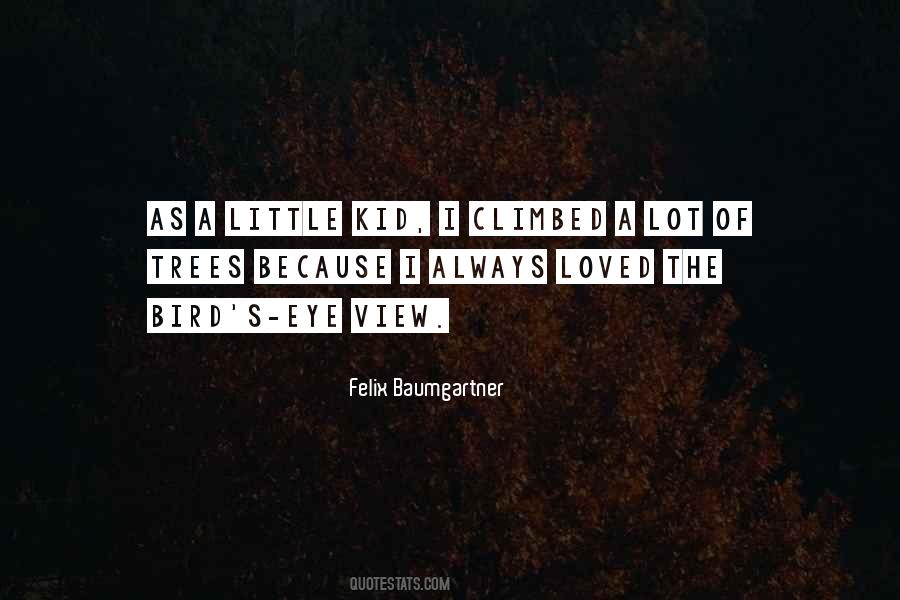 Little Bird Quotes #251004
