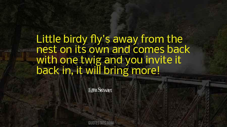 Little Birdy Quotes #1442949