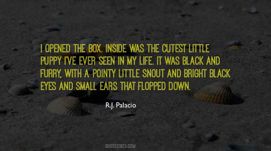 Top 13 Little Black Box Quotes: Famous Quotes & Sayings About Little Black  Box
