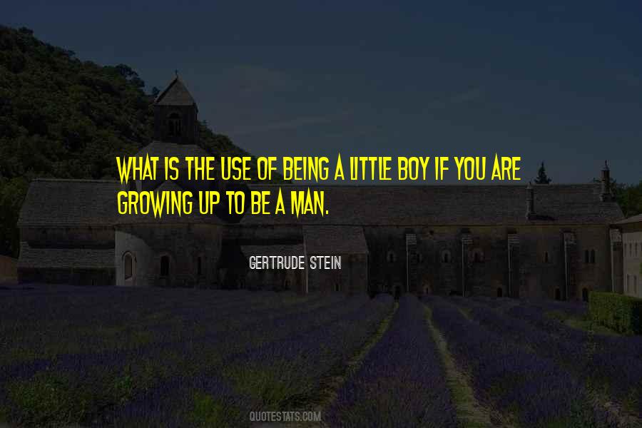 Little Boy To Man Quotes #338513