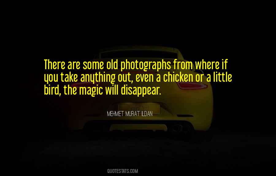 Little Chicken Quotes #66142