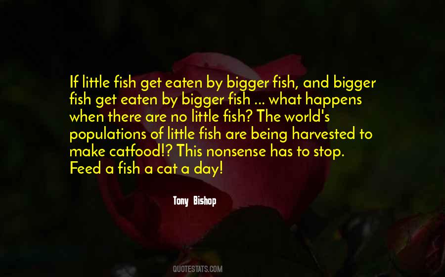 Little Fish Quotes #1375682