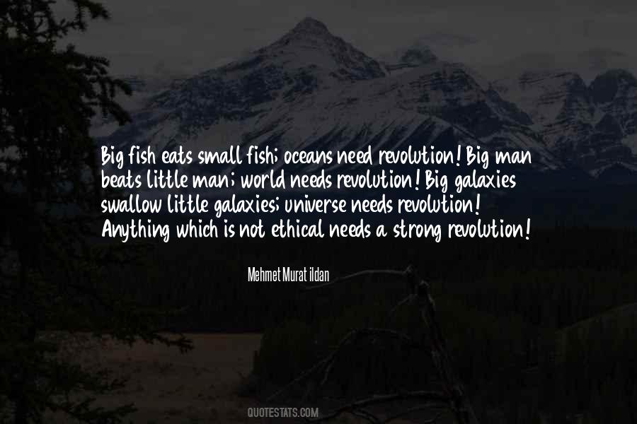 Little Fish Quotes #559735