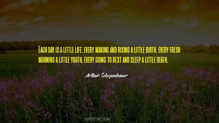 Little Life Quotes #1627862