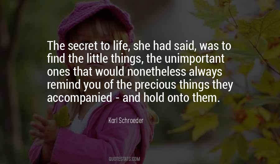 Little Things Life Quotes #109162 Little Things Life Quotes #109162