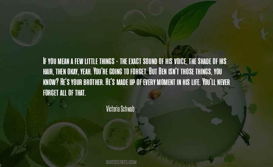 Little Things Life Quotes #170038