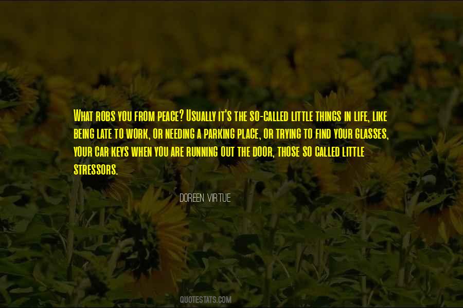 Little Things Life Quotes #556023