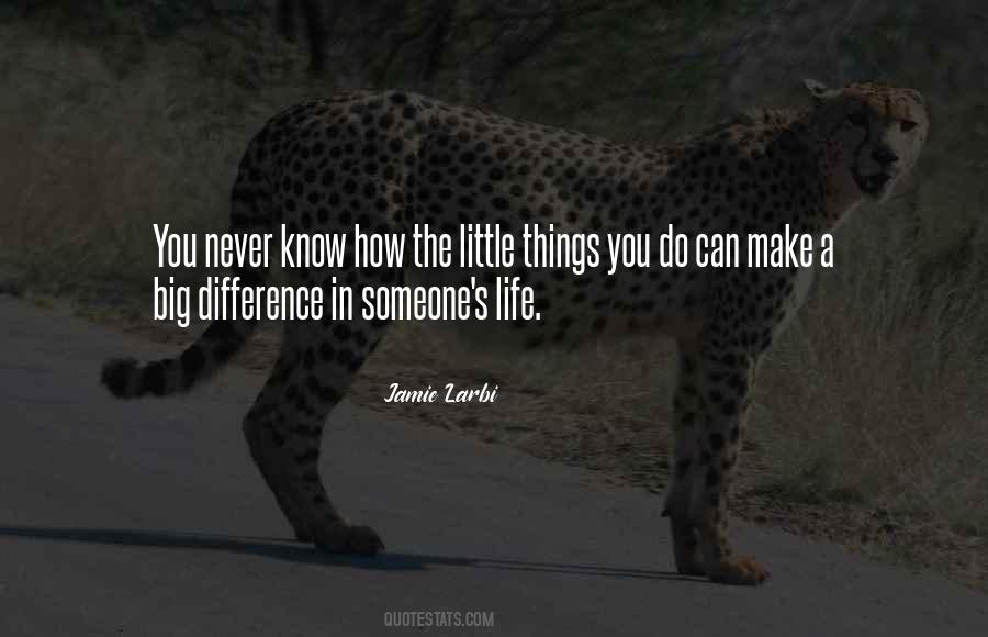Little Things Make The Difference Quotes #295381