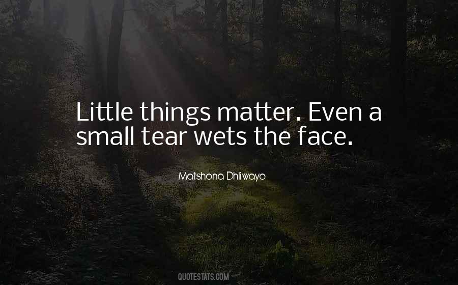 Little Things Matter Quotes #1801536