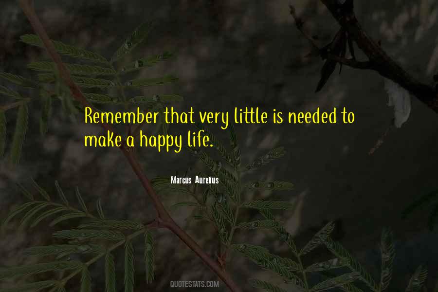 Little Things That Make Me Happy Quotes #56604