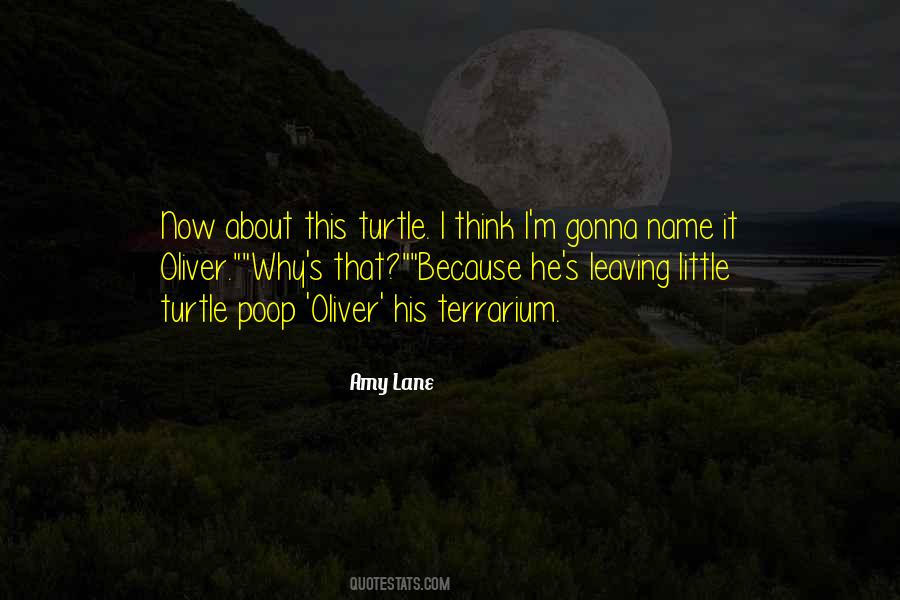 Little Turtle Quotes #827629
