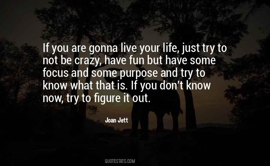 Live A Crazy Life Quotes #744347