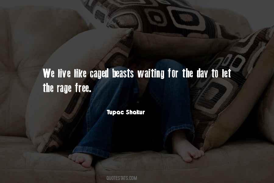 Live Day To Day Quotes #102633