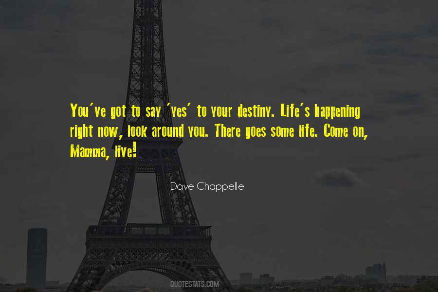 Live Life Right Quotes #46830