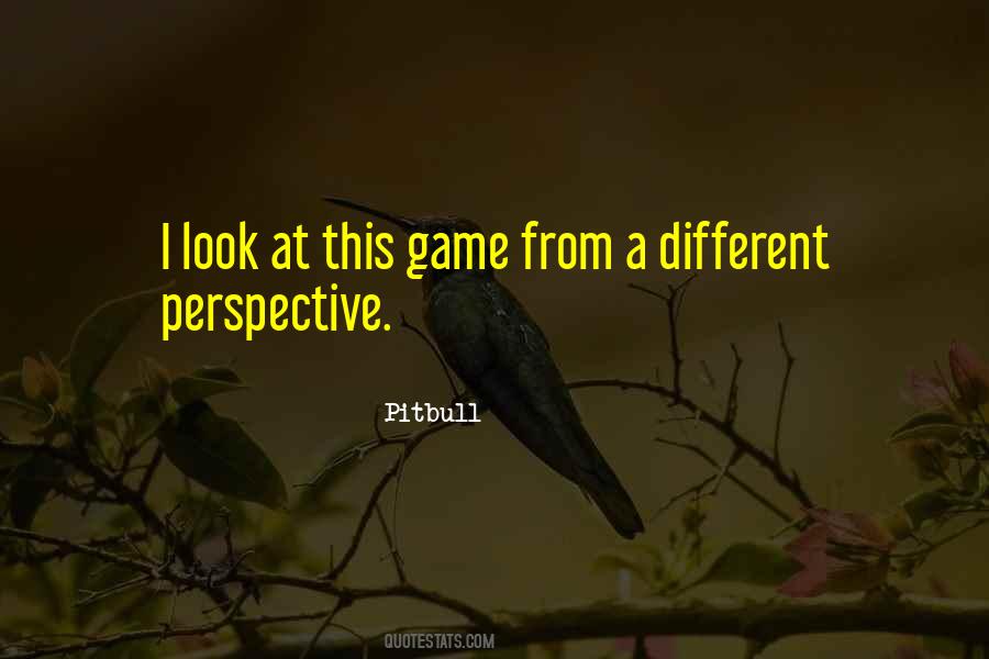 Quotes About Different Perspective #338960