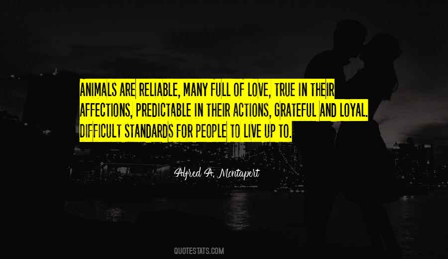 Live Up To Standards Quotes #156591