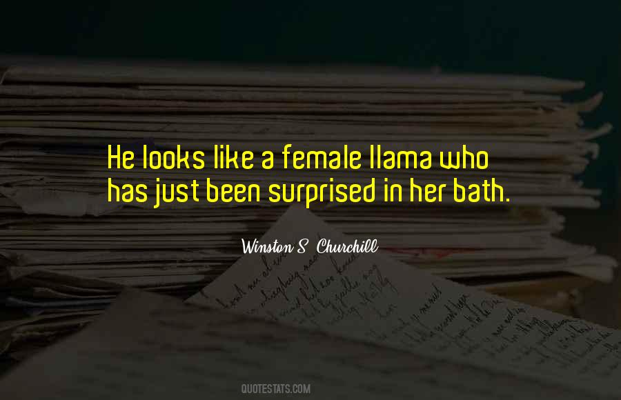 Llama Quotes #475252