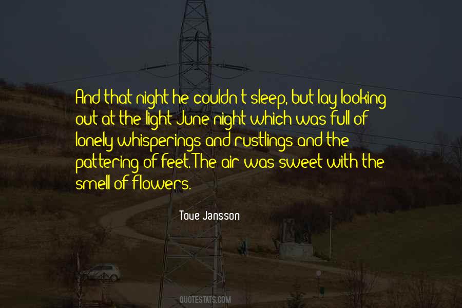 Lonely Sleep Quotes #1869511
