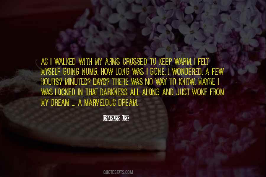 Long Way Gone Quotes #381139