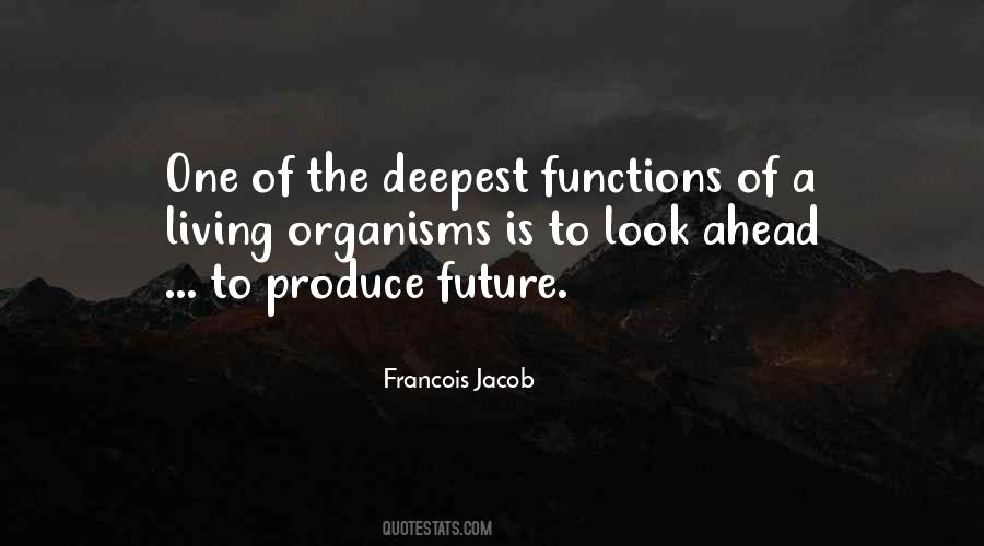 Look Ahead To The Future Quotes #1717844
