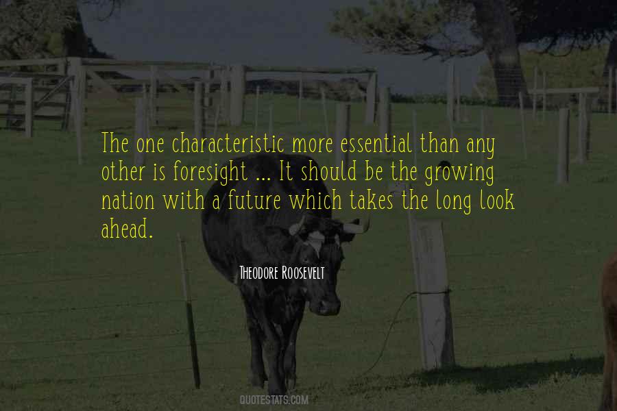 Look Ahead To The Future Quotes #889101