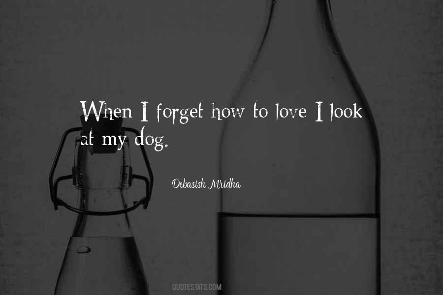 Look At My Love Quotes #95725