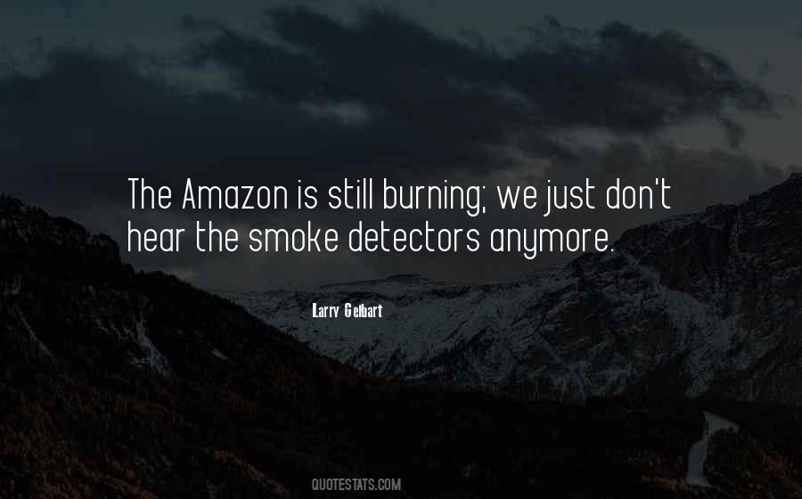Quotes About Detectors #1391030