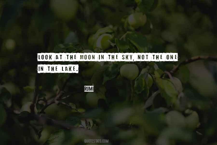 Look At The Moon Quotes #1661975