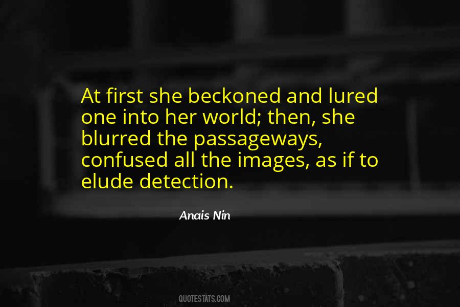 Quotes About Detection #674448