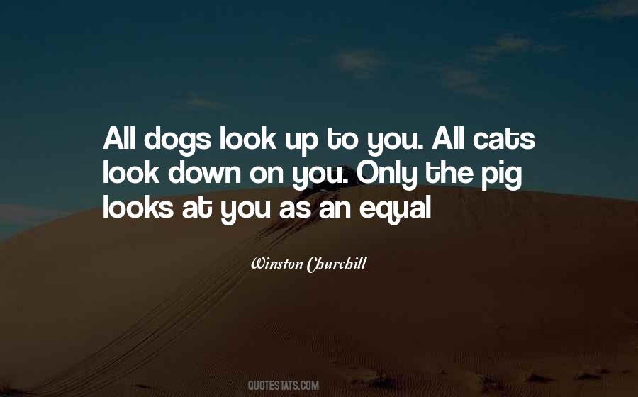Look Down On You Quotes #1491874