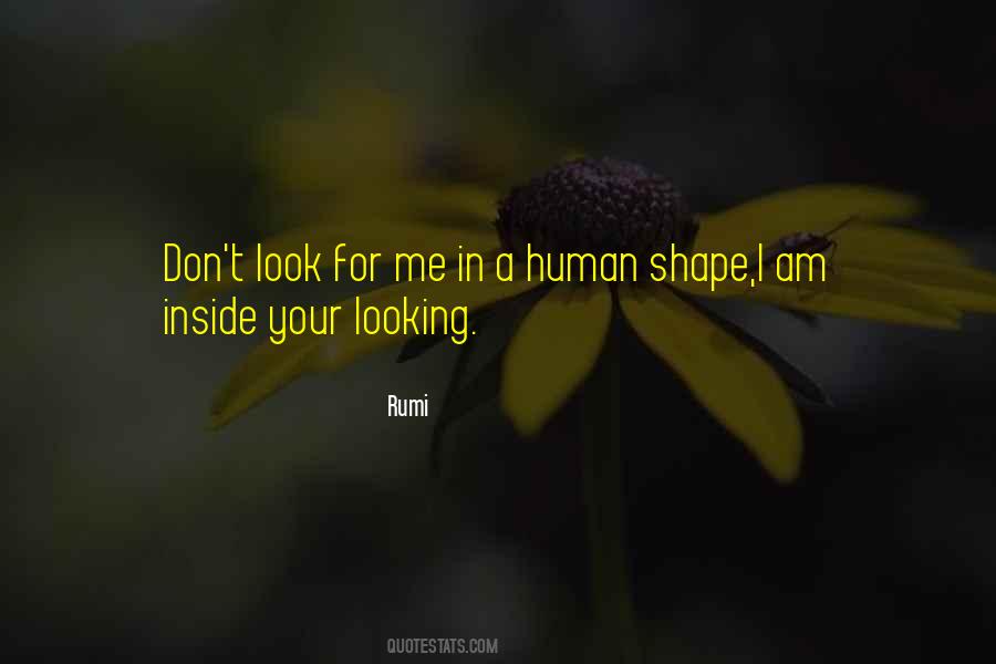 Look For Me Quotes #1042193