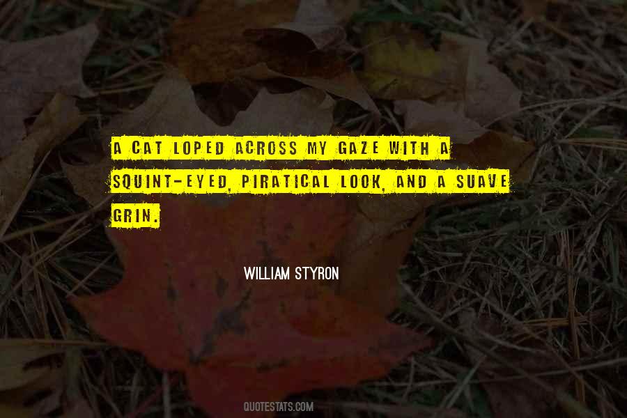 Look Gaze Quotes #779455