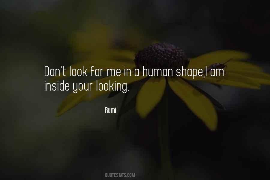Look Inside Me Quotes #1042193