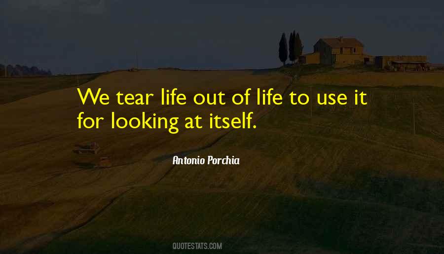 Quotes About Tears Life #444724