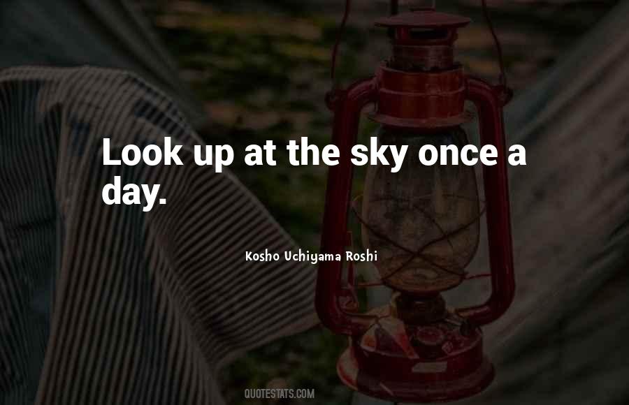 Look The Sky Quotes #275116