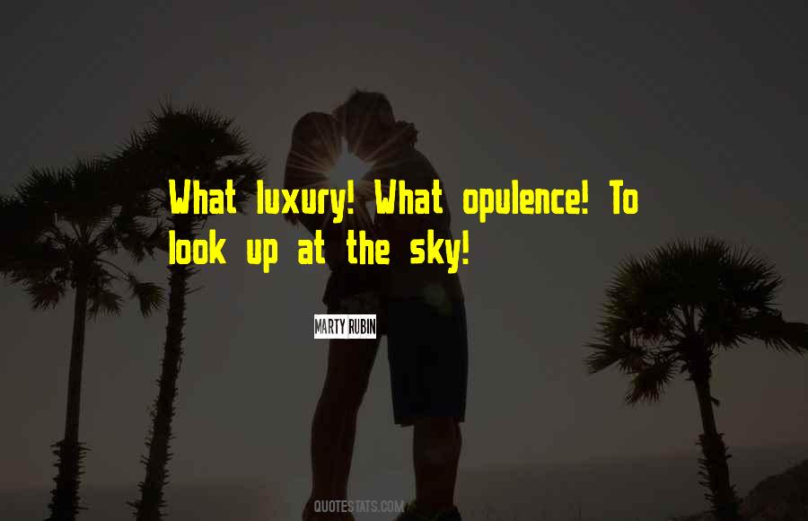 Look Up The Sky Quotes #1097349