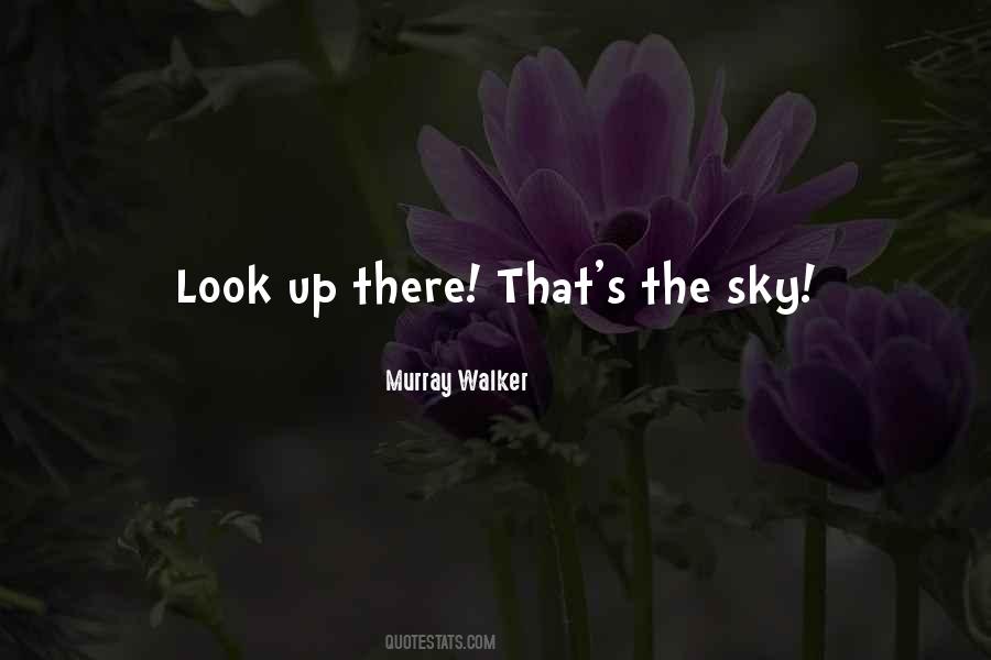 Look Up The Sky Quotes #1149920